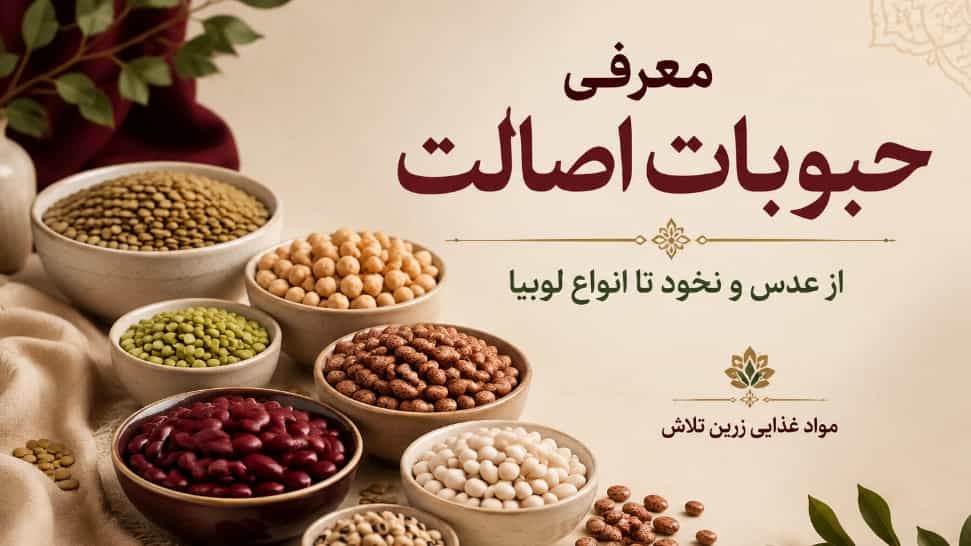 معرفی حبوبات اصالت از عدس و نخود تا انواع لوبیا
