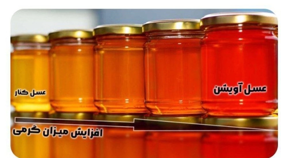 طبع عسل چیست؟ سرد یا گرم؟ طبع عسل چیست؟ سرد یا گرم؟