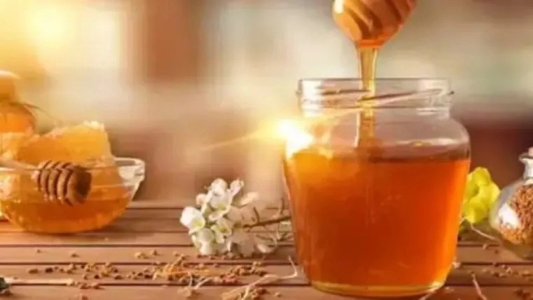 خرید عسل طبیعی ارگانیک اصفهان از تولیدکننده زرین تلاش خرید عسل طبیعی ارگانیک اصفهان از تولیدکننده زرین تلاش